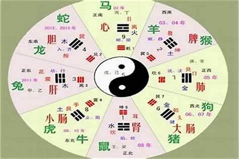 珵五行|琤字的五行属性